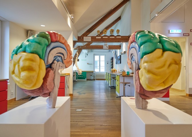 Dauerausstellung «Erlebnispfad». Im Erlebnispfad dürfen Sie tasten, hören, schauen, riechen, rätseln und ausprobieren. Lernen Sie spielerisch die Evolution des Lebens, die Steinzeit, die Anatomie des Menschen sowie den Körperbau der Tiere kennen. Sie dürfen alle Schubladen öffnen und alles anfassen. Die Schubladen mit einem Dino-Symbol sind speziell für die Jüngsten geeignet.